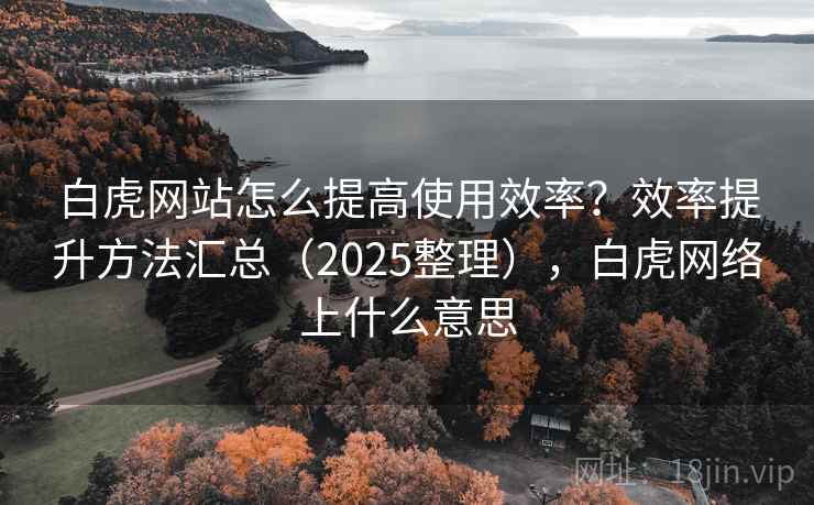 白虎网站怎么提高使用效率？效率提升方法汇总（2025整理），白虎网络上什么意思