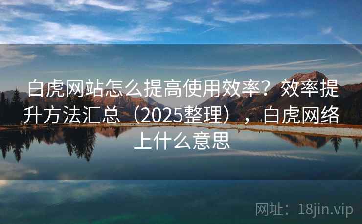 白虎网站怎么提高使用效率？效率提升方法汇总（2025整理），白虎网络上什么意思