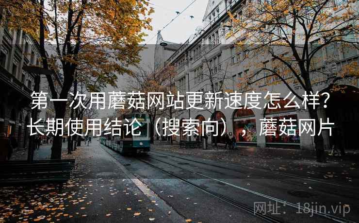 第一次用蘑菇网站更新速度怎么样？长期使用结论（搜索向），蘑菇网片