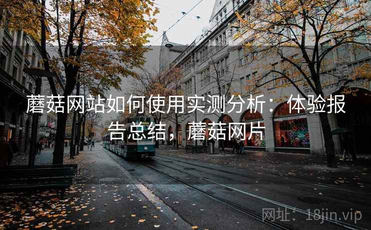 蘑菇网站如何使用实测分析：体验报告总结，蘑菇网片
