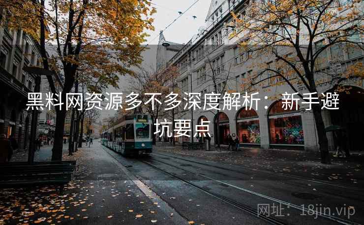 黑料网资源多不多深度解析：新手避坑要点