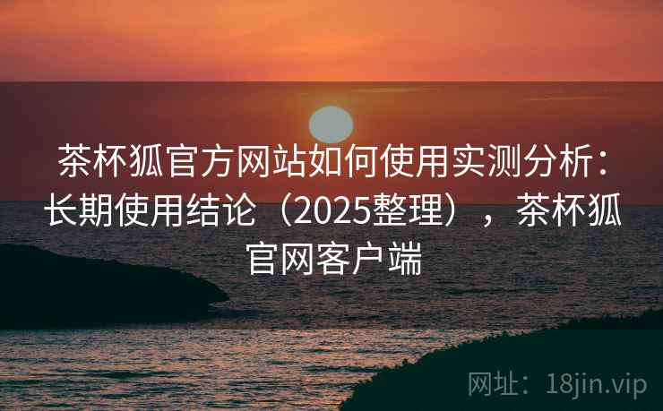 茶杯狐官方网站如何使用实测分析：长期使用结论（2025整理），茶杯狐官网客户端