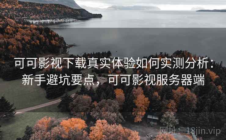 可可影视下载真实体验如何实测分析：新手避坑要点，可可影视服务器端