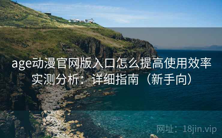 age动漫官网版入口怎么提高使用效率实测分析：详细指南（新手向）