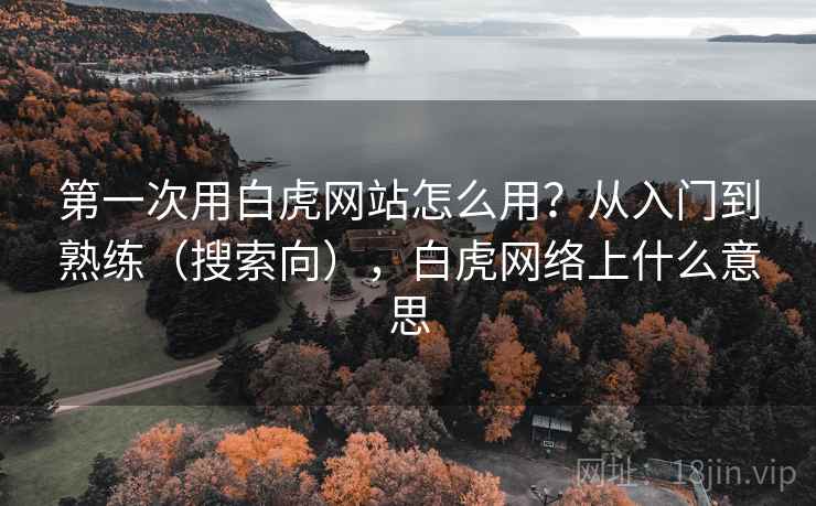 第一次用白虎网站怎么用？从入门到熟练（搜索向），白虎网络上什么意思