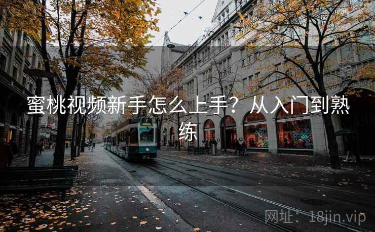 蜜桃视频新手怎么上手？从入门到熟练